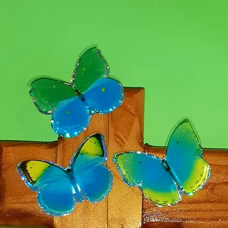 Floor In The Center Of Daire