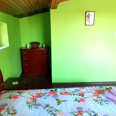 Floor In The Center Of Daire