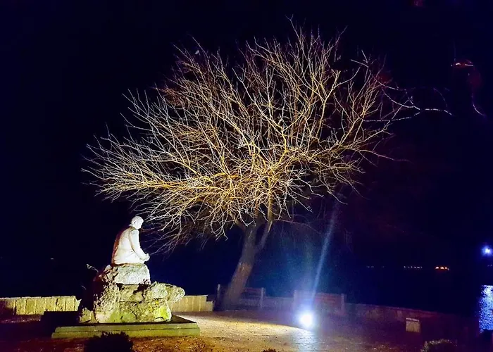 Floor In The Center Of *