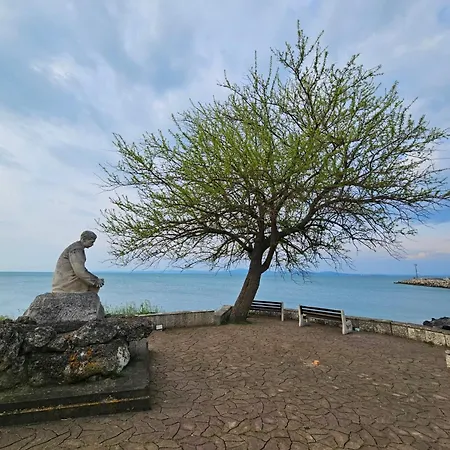 Floor In The Center Of Pomorie