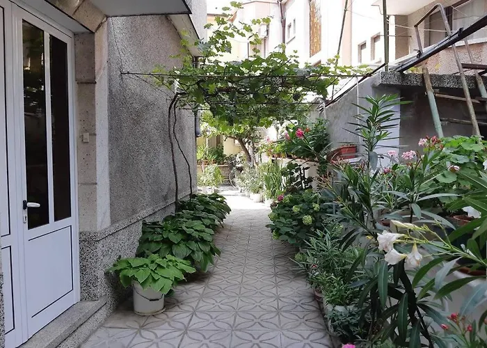 Apartman Floor In The Center Of