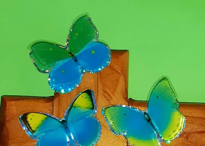 Floor In The Center Of Apartman